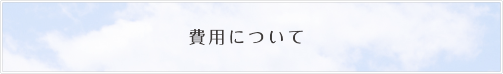 費用について